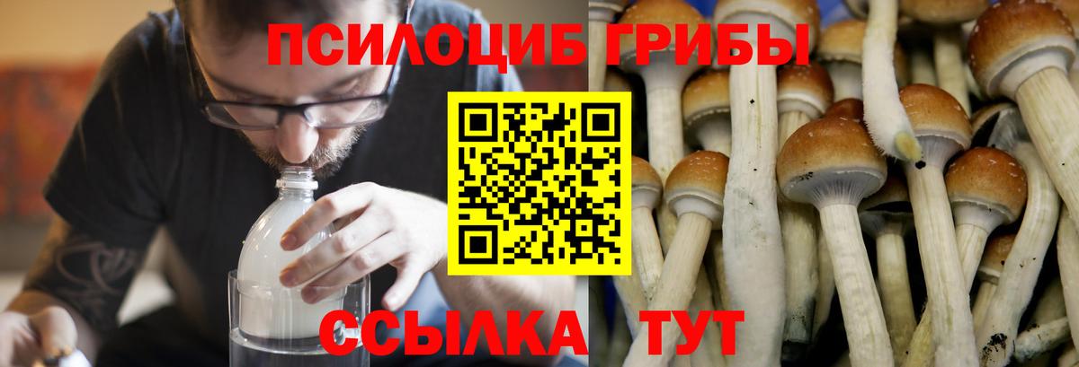 Псилоцибиновые грибы мухоморы Туймазы